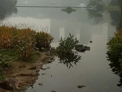 -重庆彩云湖湿地公园