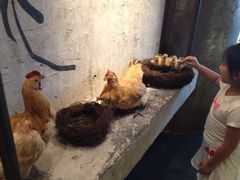 iphone_upload_pic-星伦多 自助料理(圆融店)