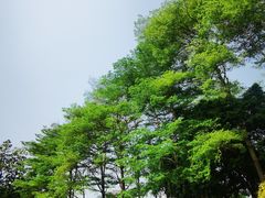 -文华公园(禅城区)