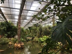 -南通洲际绿博园