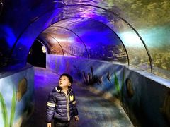 景点-嘉兴海底世界