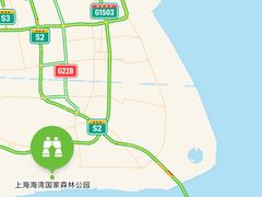 -上海海湾国家森林公园