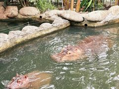 -宁波野生动物园