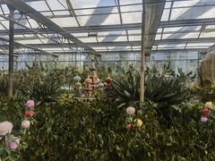 -南宫五洲植物乐园