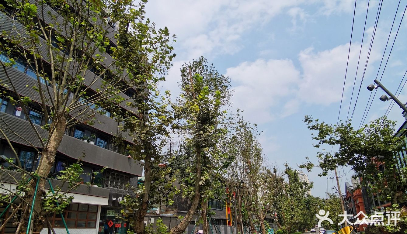 成都新晋网红美食街