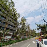 成都新晋网红美食街