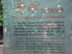 -中国湿地博物馆