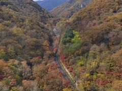 -名扬烤肉(起源店)