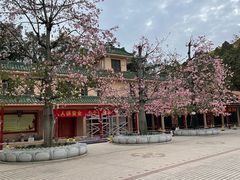 -广东圆玄道观