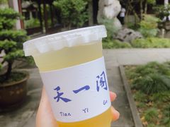 -天一阁博物院
