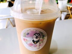 -Husky Go! 哈士奇体验馆·宠物咖啡厅狗咖