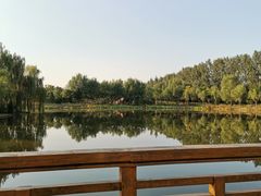 -东郊湿地公园