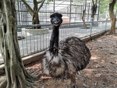-广东茂名森林公园