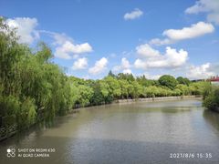 -上海中医药大学附属曙光医院(东部)