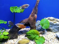 -上海海洋水族馆