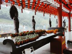 -三水森林公园
