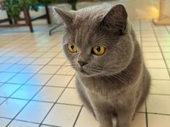 -ID.PHOTO照相馆(嘉里企业中心店)