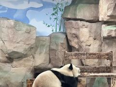 -无锡动物园·太湖欢乐园
