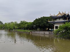 -江心屿景区