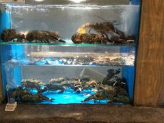 水产区-郑庄脂渣海鲜楼(九水路店)