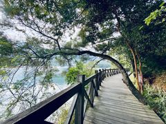-广州市流溪河国家森林公园