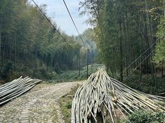 -仙霞关景区