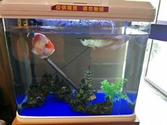 -大鸭梨(天通西苑店)