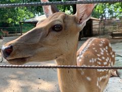 -祥源·阜阳生态乐园