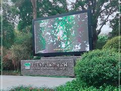 -海珠湖公园