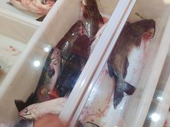 -小火炕铁锅炖鱼