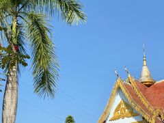 -西双版纳傣族园