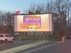 -枫花园汽车电影院(朝阳公园店)