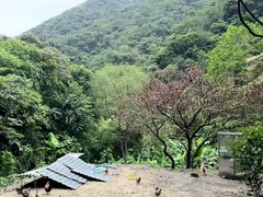 -广州市石门国家森林公园