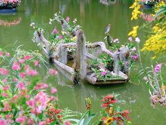 -深圳市中科院仙湖植物园