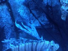 -成都浩海立方海洋公园