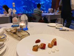 -迪拜帆船酒店海底餐厅