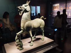 -广西壮族自治区博物馆