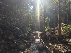 -西双版纳基诺山寨