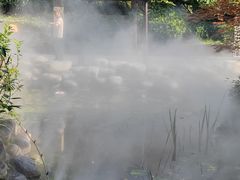 -太白山御龙湾温泉