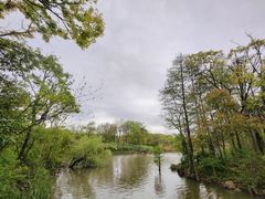 -上海吴淞炮台湾国家湿地公园