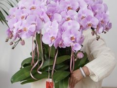 -F.Story 花和故事(新天地店)