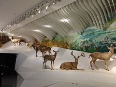 -重庆自然博物馆(新馆)