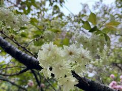 -白塘生态植物园
