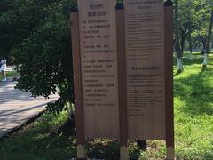-太湖湖滨国家湿地公园-停车场