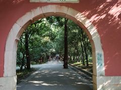-灵谷景区