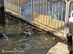 -华夏文旅西安度假区