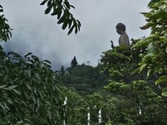 -宝莲禅寺