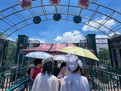 -武汉知音号