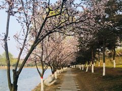 -西安浐灞国家湿地公园