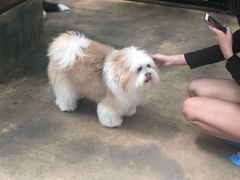 -TrueLove @ Neverland (Husky Cafe)